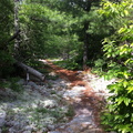 Soft trail on the JMT, Big South Fork - 27